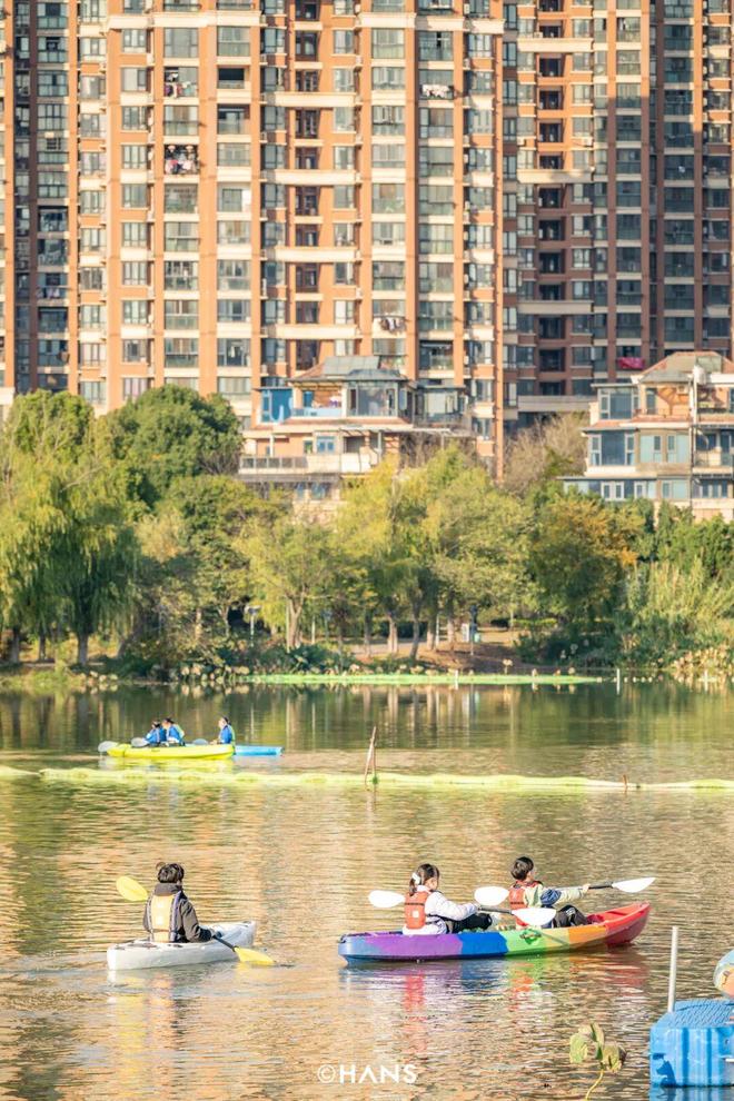 武汉的人会有乡愁吗？瓦力棋牌从没离开过(图11)