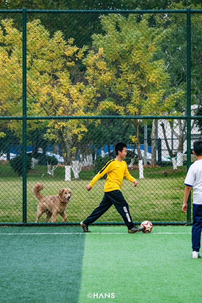 武汉的人会有乡愁吗？瓦力棋牌从没离开过(图21)